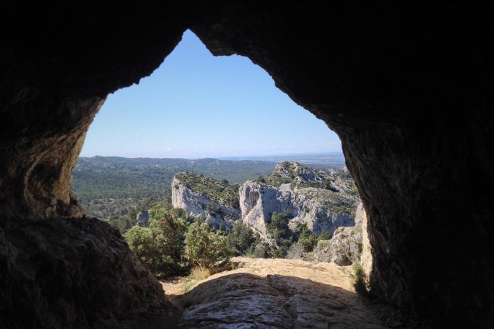 Lou Olivie, Climatise Avec Piscine Aux Pieds Alpilles Paradou